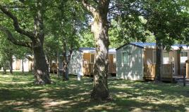 Mobil homes du camping La Pointe